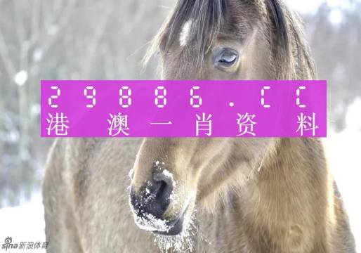 澳门一肖一码100%精准,实际调研解析_旗舰款82.699