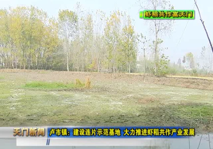 天门市卢市镇最新动态更新