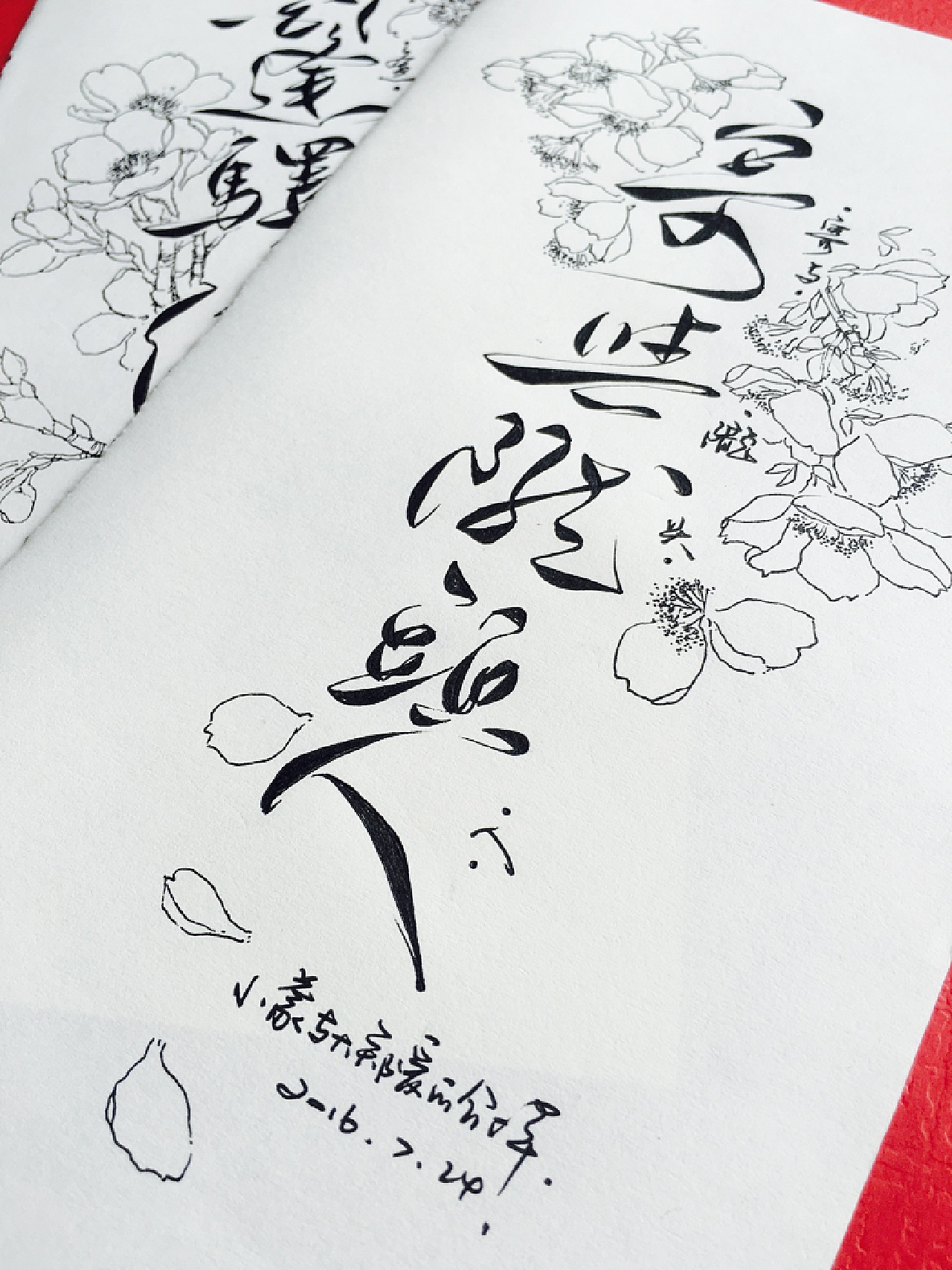 菊花字体的创作与欣赏艺术指南，探索最新菊花字体之美