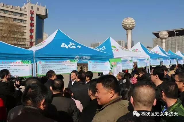 阳春最新招聘，探寻职场新机遇，共启事业新篇章大门