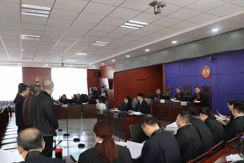 哈尔滨最新通知，启程探索自然美景的治愈之旅