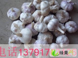 山东大蒜最新价格揭秘，市场走势与影响因素分析全解析