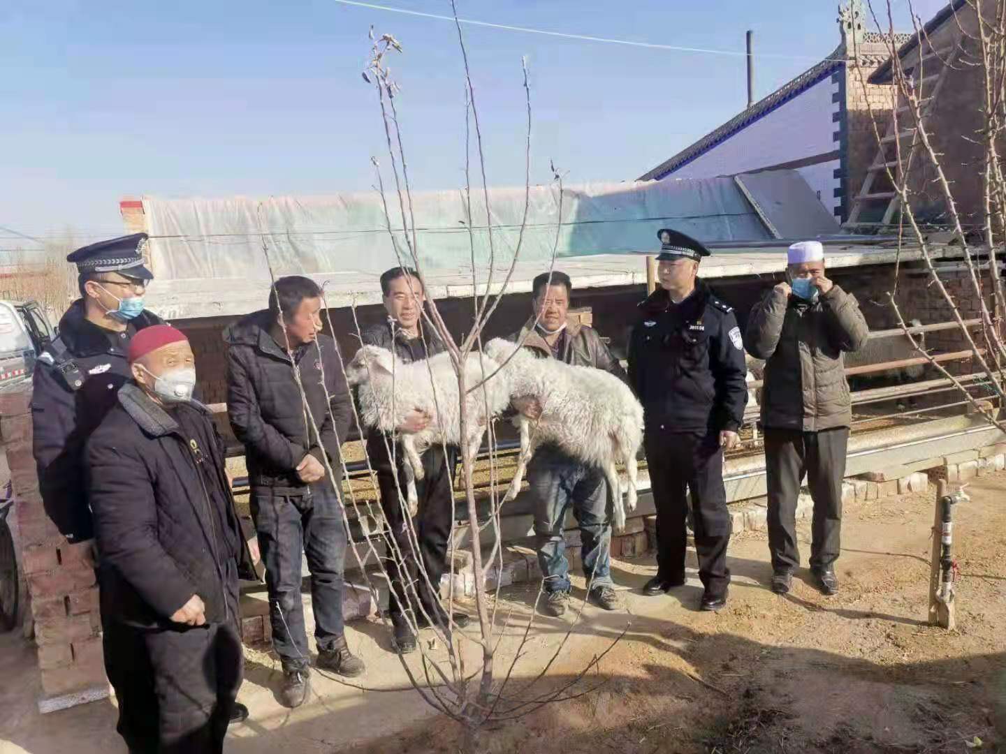 🌟红寺堡最新征收信息揭秘🌟