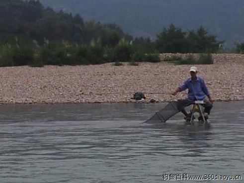 五强溪钓鱼之旅，鱼获的喜悦与成长的力量