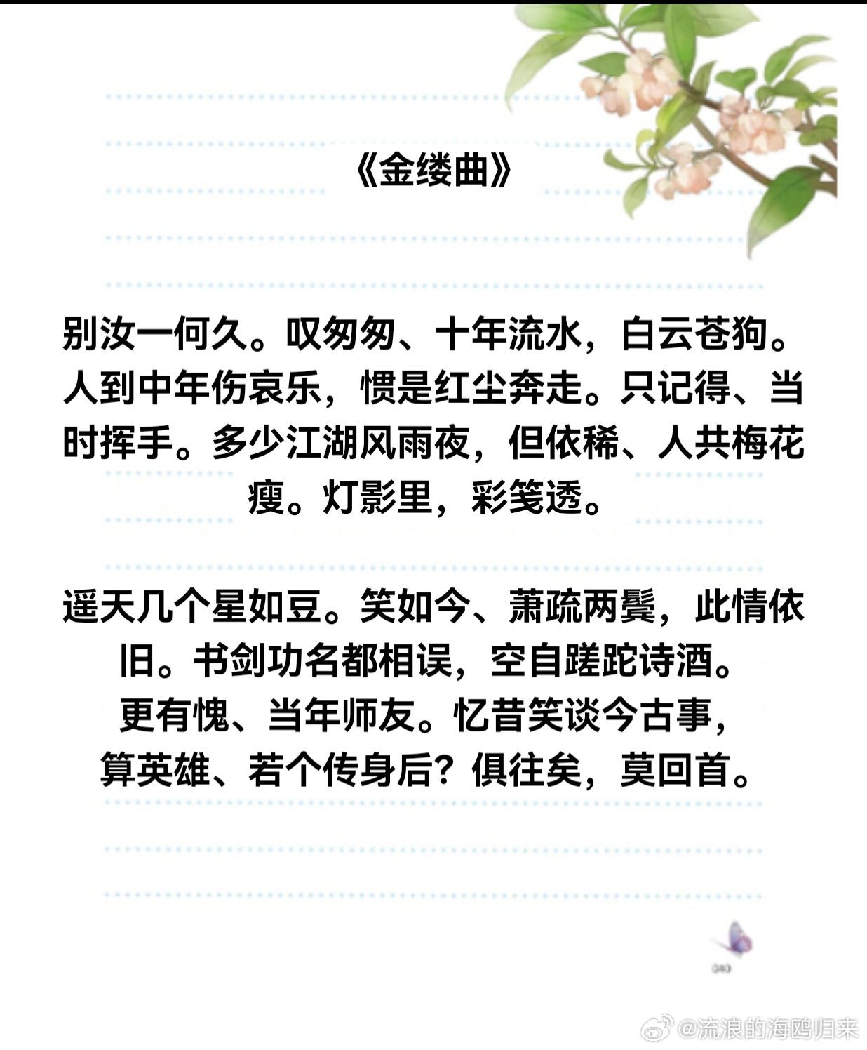 深度解析与观点阐述，何处复槿歌最新章节全解析