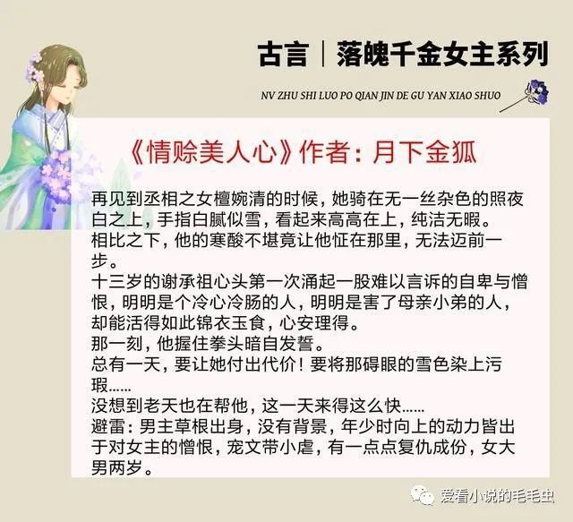情感与时代交织之美，情赊美人心最新章节回顾