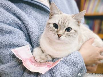 财迷好咪天才儿孑，自然美景的探索之旅最新报道