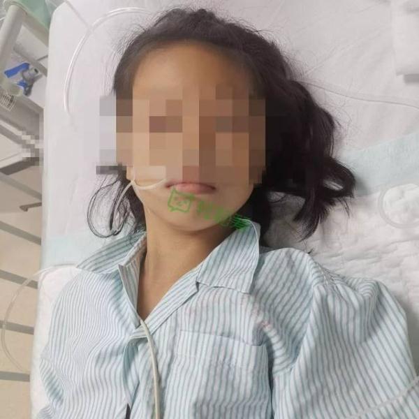 海口叉车招聘最新消息及观点论述全解析
