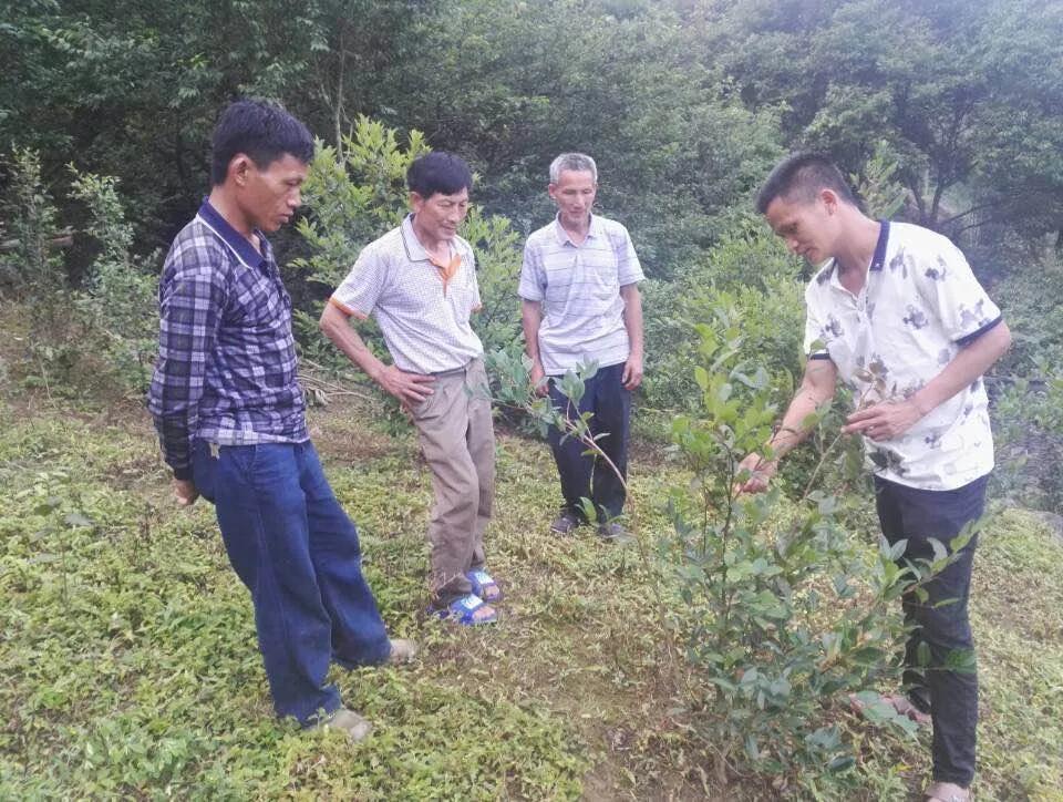 农女致富记最新章节获取攻略及致富启示
