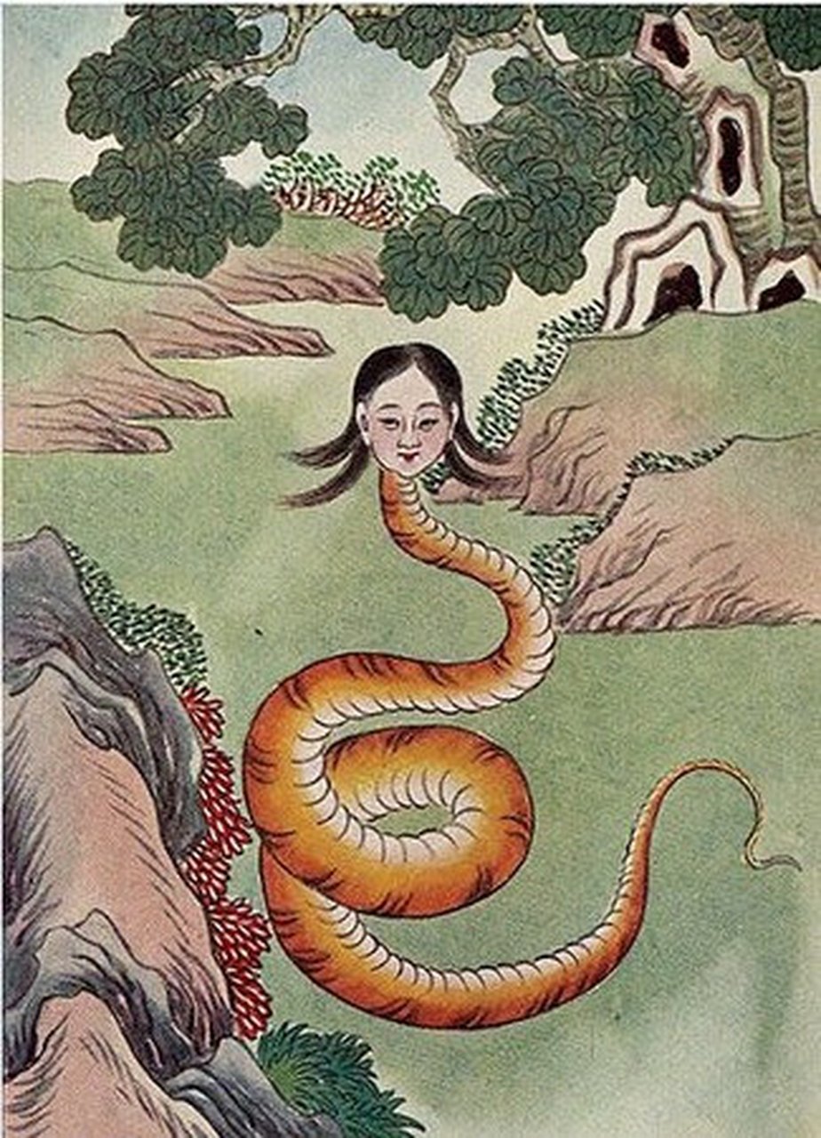 青蛙与蛇女娲，自然美景探索之旅的最新奇妙之旅