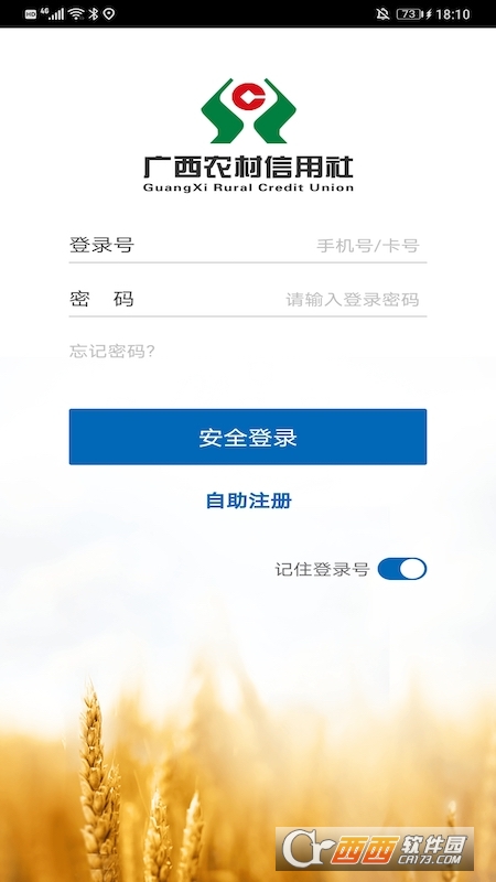 广西农信最新版下载，科技引领金融服务革新